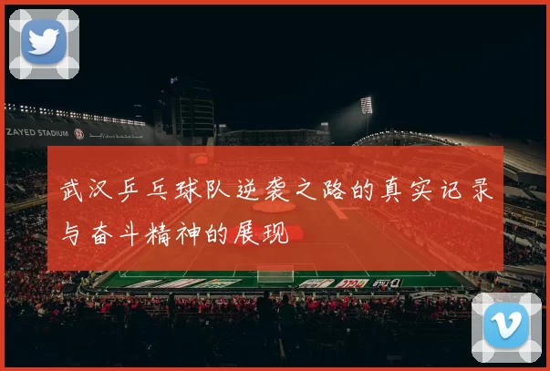 武汉乒乓球队逆袭之路的真实记录与奋斗精神的展现